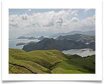 West coast of coromandel Peninsula - Richard Nicholls